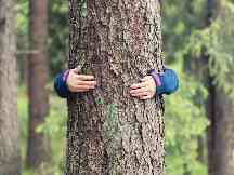 Gothaer Waldversicherung: Kind umarmt einen Baum.